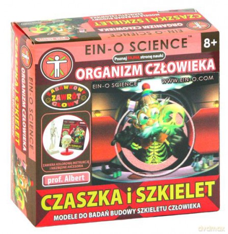 Profesor Albert mini - Czaszka i szkielet [GRA]