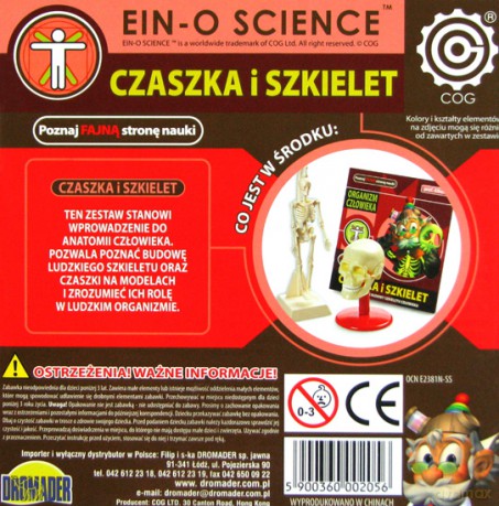 Profesor Albert mini - Czaszka i szkielet [GRA]