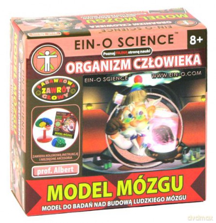 Profesor Albert mini - Model mózgu [GRA]