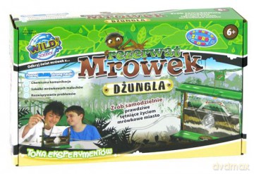 Rezerwat mrówek - Dżungla [GRA]