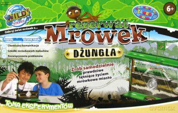Rezerwat mrówek - Dżungla [GRA]