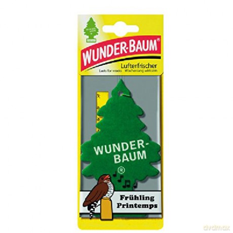 Wunderbaum, Frühling