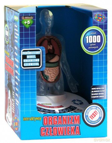 Organizm człowieka - interaktywny model 3D [GRA]