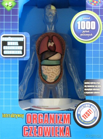 Organizm człowieka - interaktywny model 3D [GRA]