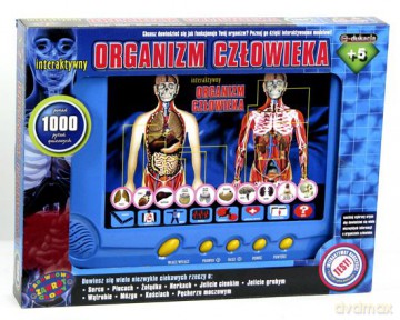 Organizm człowieka - interaktywny model płaski [GRA]