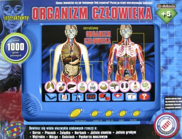 Organizm człowieka - interaktywny model płaski [GRA]