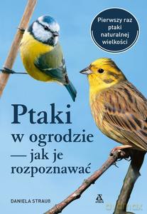 Ptaki w ogrodzie - jak je rozpoznawać - Daniela Strauss [KSIĄŻKA]