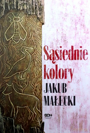 Sąsiednie kolory - Jakub Małecki [KSIĄŻKA]