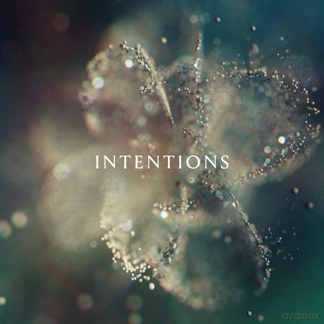 Anna: Intentions [2xWinyl]