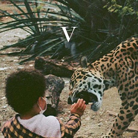 Unknown Mortal Orchestra: V [KASETA]