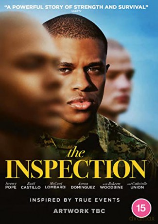 The Inspection (Inspekcja) [DVD]