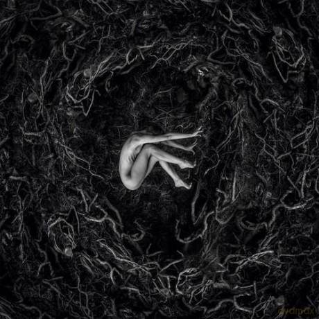 Fvnerals: Let The Earth Be Silent (digipack) [CD]