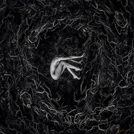Fvnerals: Let The Earth Be Silent (digipack) [CD]