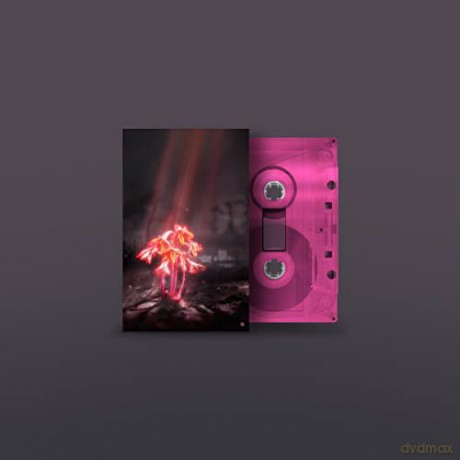 Enter Shikari: A Kiss For The Whole World (Red) [KASETA]