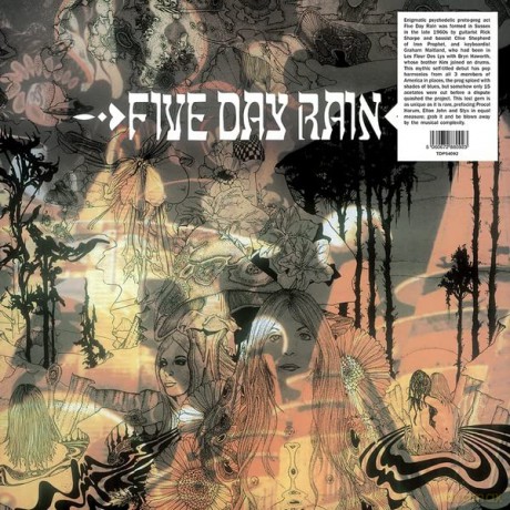 Five Day Rain: Five Day Rain [Winyl]