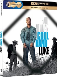 Cool Hand Luke (steelbook) [Blu-Ray 4K]