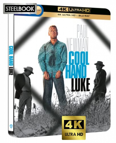 Cool Hand Luke (steelbook) [Blu-Ray 4K]