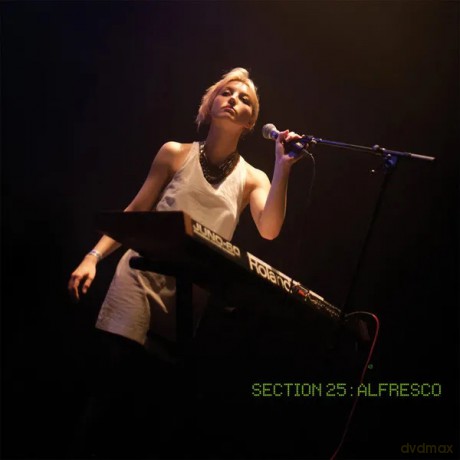 Section 25: Alfresco (Black) [Winyl]