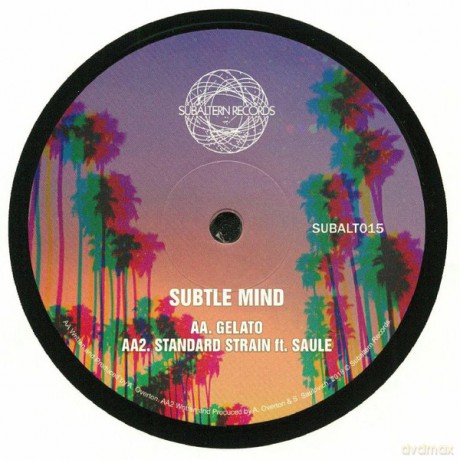 Subtle Mind: Ambitions [Winyl]