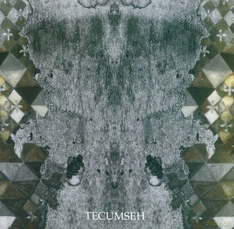 Tecumseh: Avalanche And Inundation [Winyl]