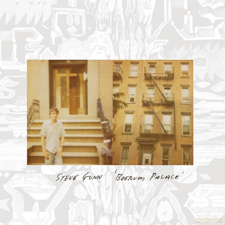 Steve Gunn: Boerum Palace [Winyl]
