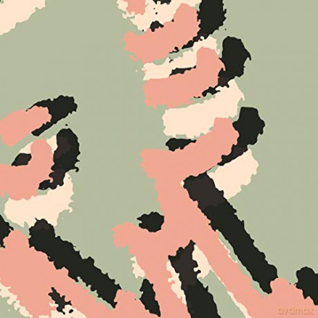 Shielding: Collecting Seaweed Ep [Winyl]