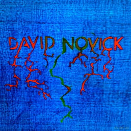 David Novick: David Novick [Winyl]