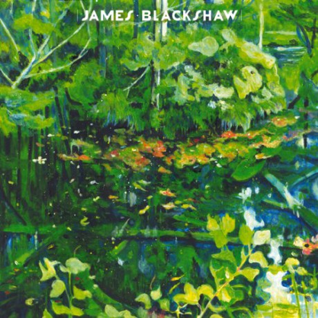 James Blackshaw: Holly [Winyl]