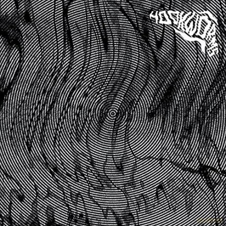 Hookworms: Hookworms [Winyl]