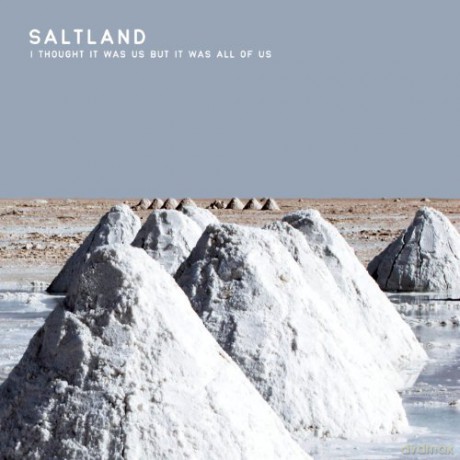 Saltland: I Thought It Was Us But It Was All Of Us [Winyl]