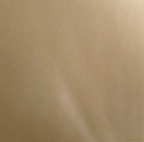 Dead Fader: In Cover [Winyl]