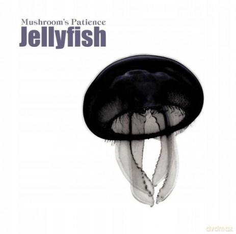 Mushroom's Patience: Jellyfish [CD]