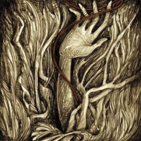 Her Name Is Calla: Long Grass [Winyl]+[CD]