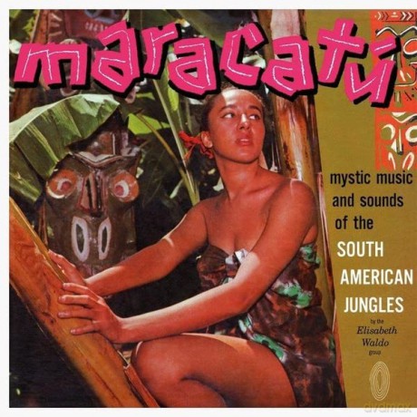 Elisabeth Waldo: Maracatu [Winyl]