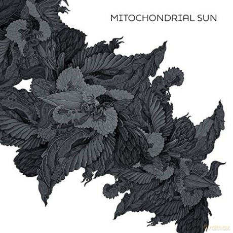 Mitochondrial Sun: Mitochondrial Sun [Winyl]