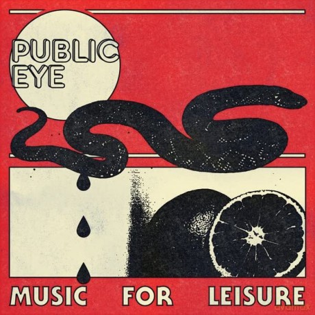 Public Eye: Music For Leisure [Winyl]