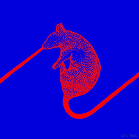 The Dwarfs Of East Agouza: Rats Don't Eat Synthesizers [Winyl]