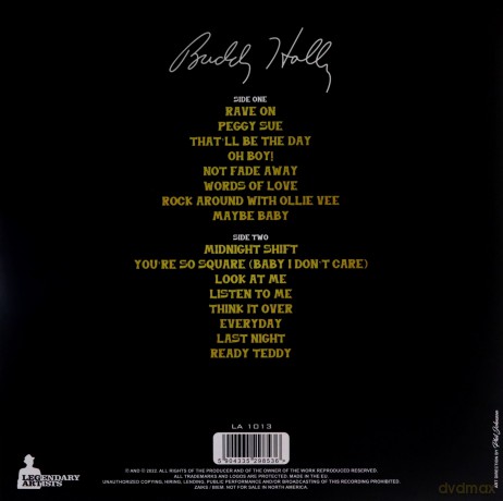 Buddy Holly: Rave On (Legendary Artists) [Winyl]
