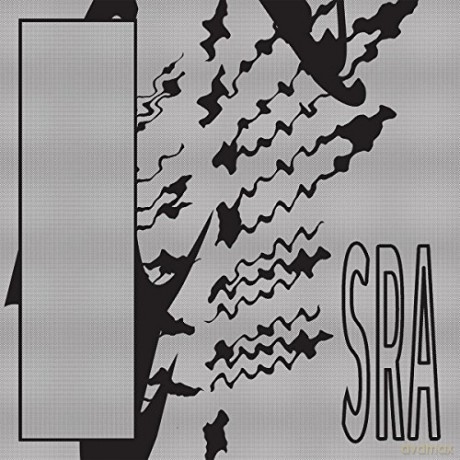Silk Road Assassins: Reflection Spaces [Winyl]