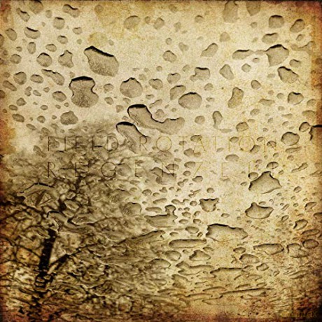 Field Rotation: Regenzeit [Winyl]