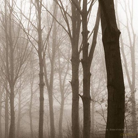 Blueneck: Scars Of The Midwest [Winyl]