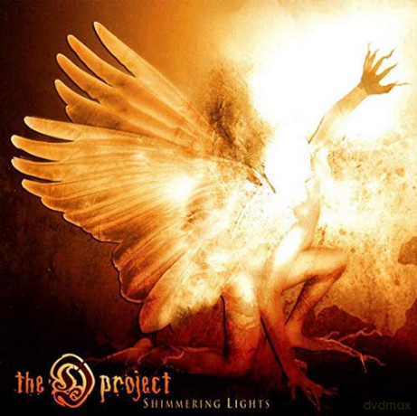 The D Project: Shimmering Lights [CD]
