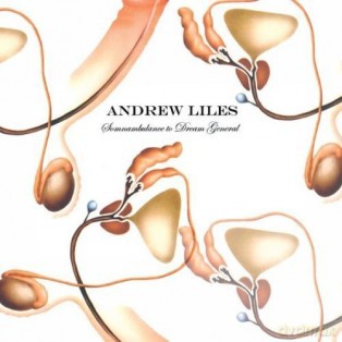 Andrew Liles: Somnambulance To Dream General [CD]