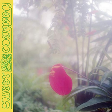 Jabu: Sweet Company [CD]