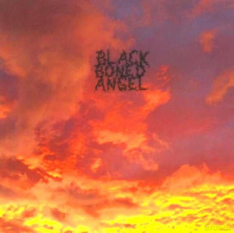 Black Boned Angel: The End I. II. II. [CD]