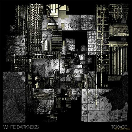 White Darkness: Tokage [2xWinyl]