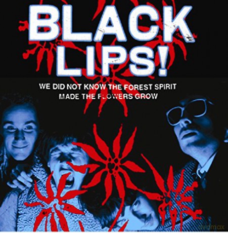 The Black Lips!: We Did Not Know The Forest Spirit Made The Flowers Grow [CD]