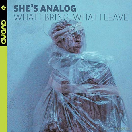She's Analog: What i Bring What i Leave [Winyl]