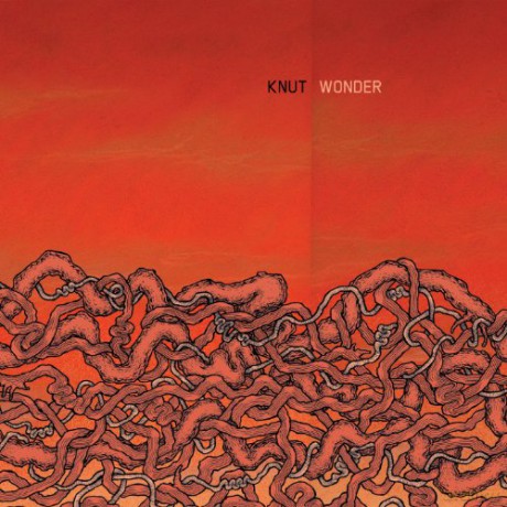 Knut: Wonder [CD]