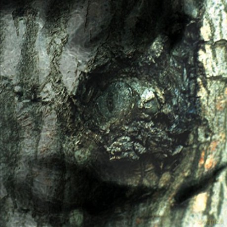 Yann Tiersen: The Waltz Of The Monsters [CD]